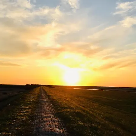 Moewennest I Wlan Zentral